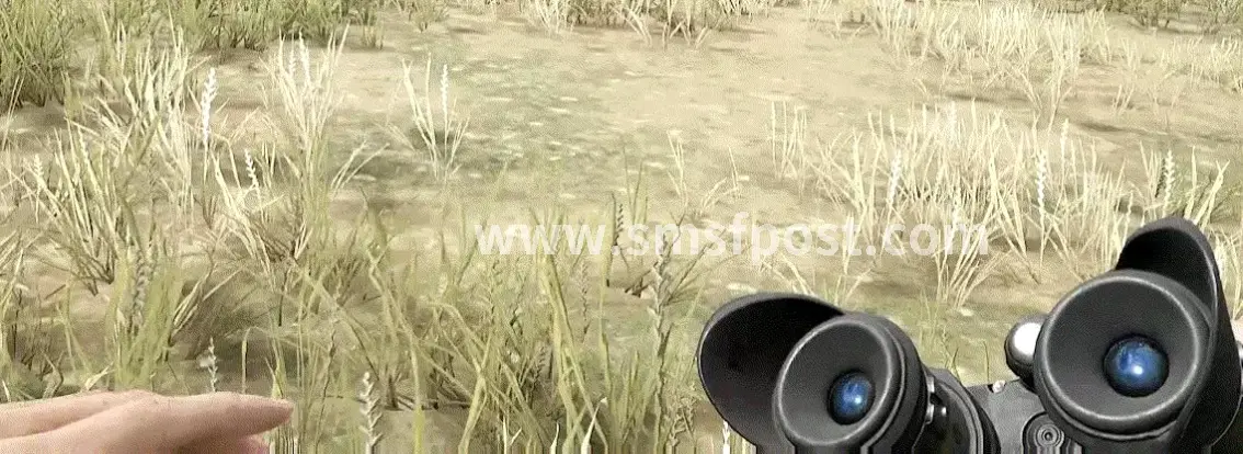玩法特色